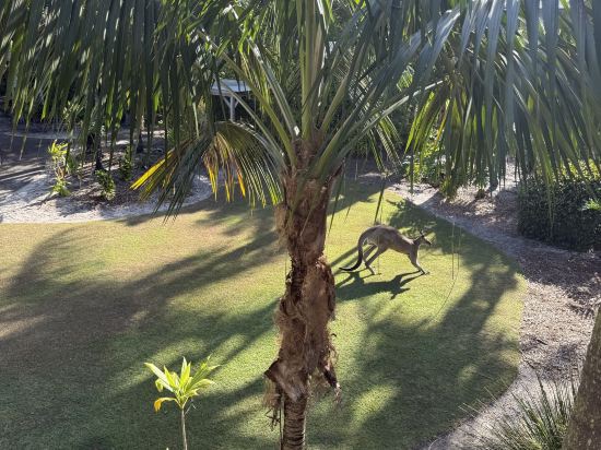 陽光海岸諾富特度假酒店優惠