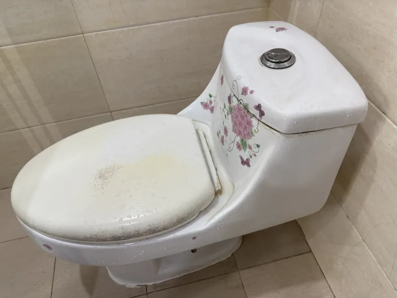 Lion Island Holiday Hotel (Shuangyuewan) Zimmer Photos