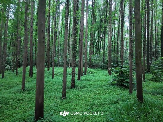 上海西郊賓館優惠