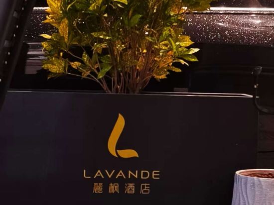 麗楓酒店（中山沙溪星寶時代廣場店）優惠