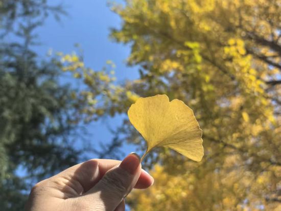 麗橙酒店·悦（貴陽大十字廣場店）優惠