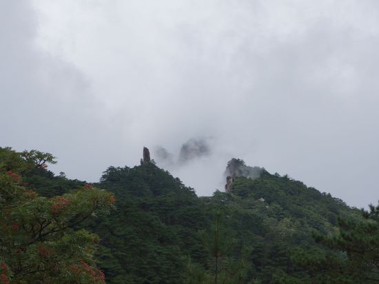 黃山獅林大酒店優惠