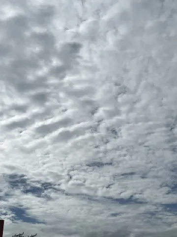 Aristo Hotel Xung quanh Photos