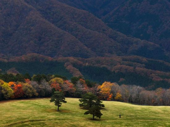 秘湯にごり湯の宿　渓雲閣 クーポン