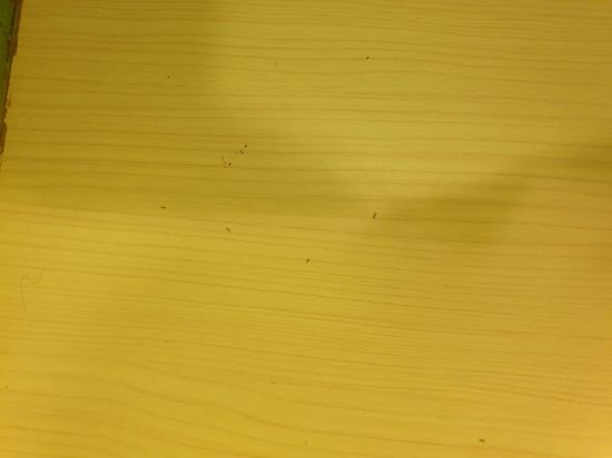 柔佛季節酒店優惠