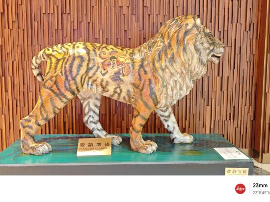 澳門美獅美高梅酒店優惠