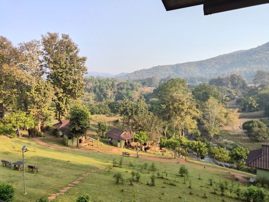 清邁大象之友酒店優惠