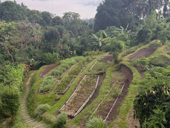 優布達瑪雅假日溫泉飯店優惠