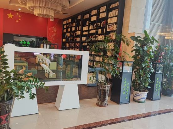 深圳方圖國際酒店優惠