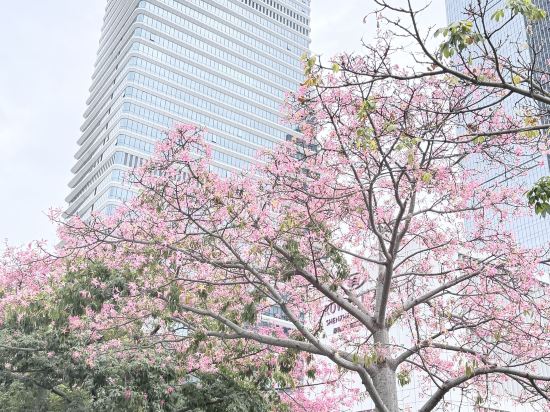 深圳深鐵皇冠假日酒店優惠