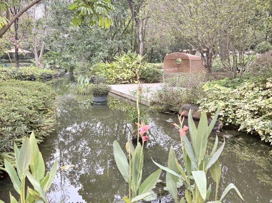 清遠芊麗酒店優惠