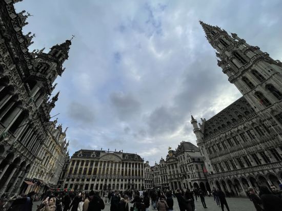 布魯塞爾中央枕頭市酒店優惠