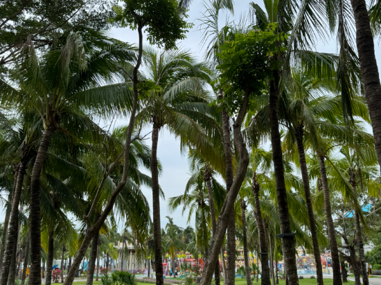 三亞新城酒店優惠