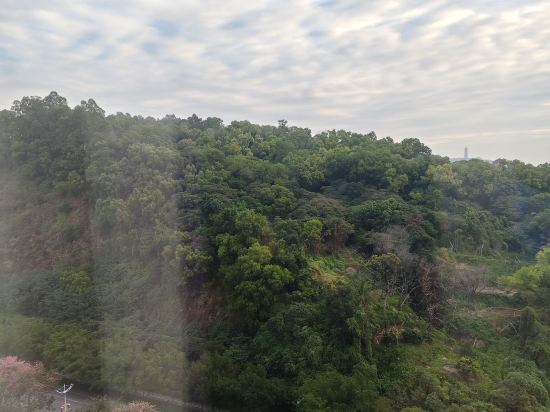 江門江海智選假日酒店優惠