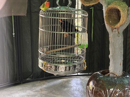 杭州千禧度假酒店優惠