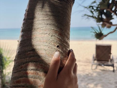 斯攀瓦巴巴海灘俱樂部泳池別墅攀牙店 （SHA Extra Plus）優惠