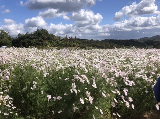 三原国際ホテル クーポン