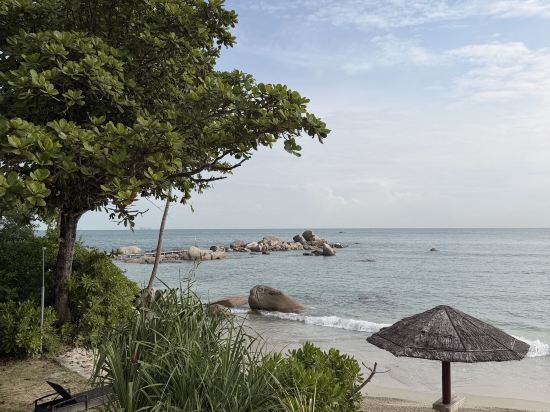 民丹島悅槤度假村優惠