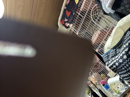 瑞江第一ホテル クーポン