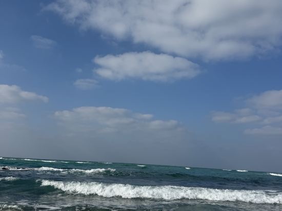 제주 마레보비치호텔 쿠폰