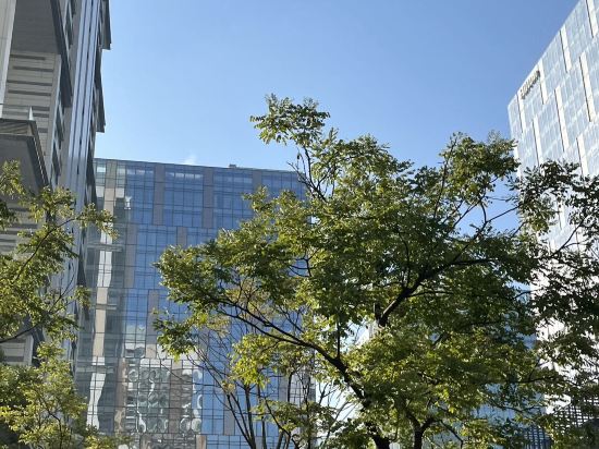 維婭斯行政公寓（深圳國際會展中心店）優惠