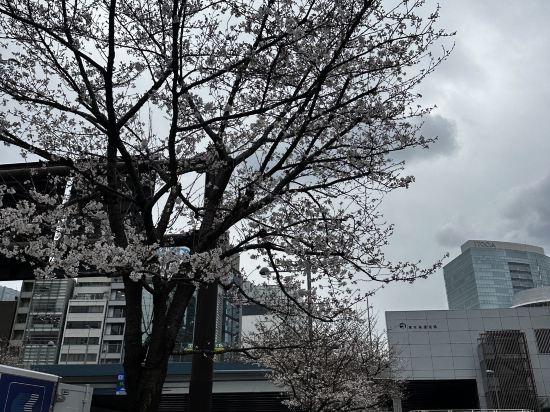 JR 東日本大都會大飯店 （東京城）優惠