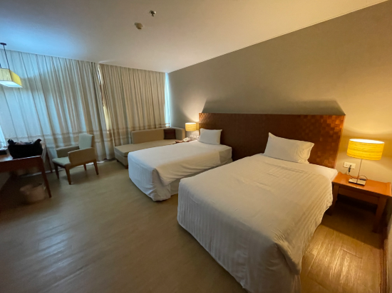 蘇內大酒店和會議中心優惠