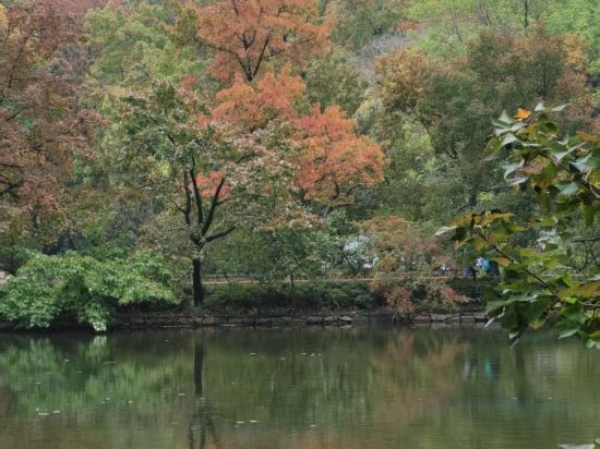蘇州·璞宿飯店（觀前街拙政園店）優惠