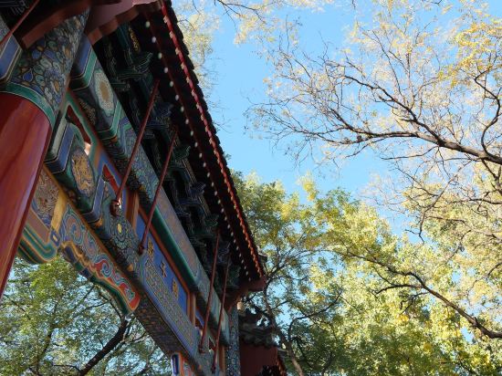 速8精選酒店（北京工體三里屯春秀路店）優惠