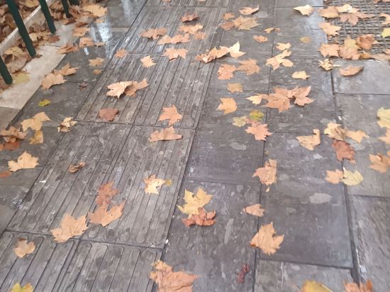 維也納國際酒店（深圳北站店）優惠