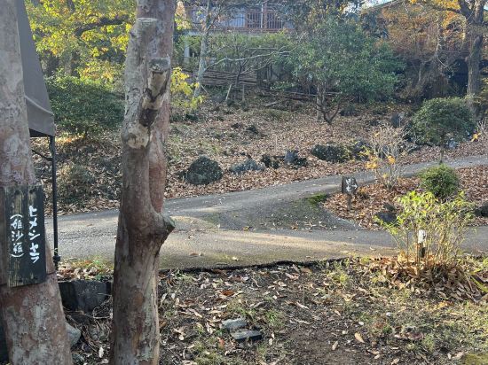 八幡野温泉郷 杜の湯 きらの里 クーポン