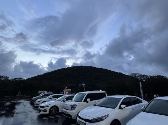 타마라 제주 쿠폰