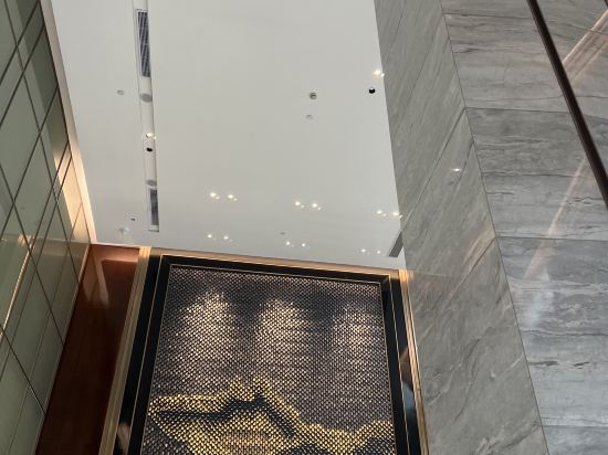 上海國際旅遊度假區荷逸唐飯店優惠