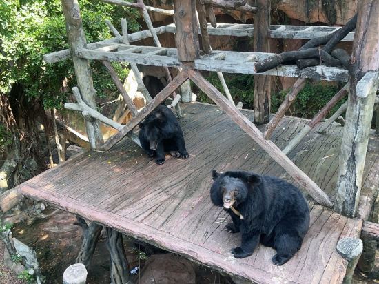 佛山順德長鹿度假村優惠