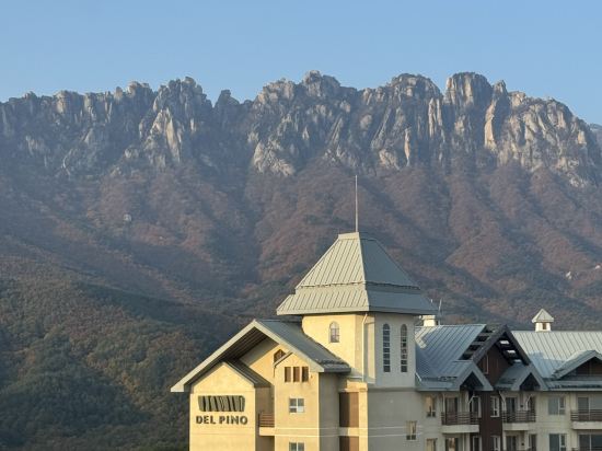 소노펠리체 델피노 고성 쿠폰