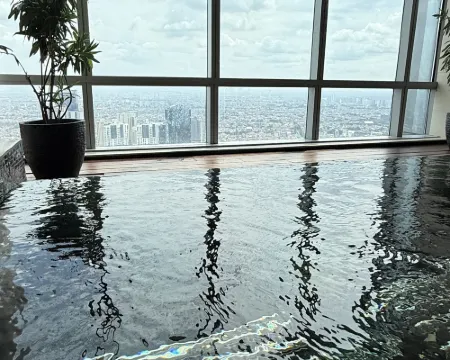 The Westin Jakarta Leisure & Recreation Photos