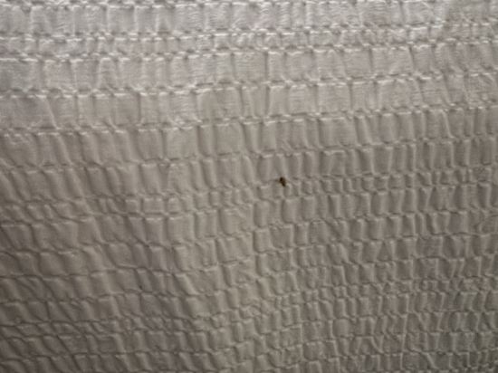 桑德曼標誌米西索加酒店優惠