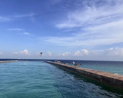 La Casa de la Playa by Xcaret- All Inclusive Adults Only بالقرب من الفندق Photos