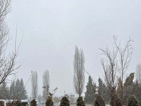 ほとりのホテル Ban クーポン