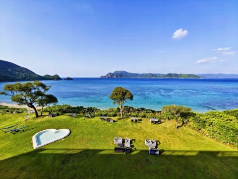 ザ　シーン クーポン