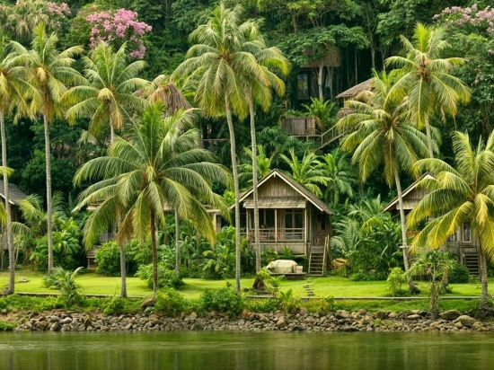 金邊城市舒適機場飯店優惠