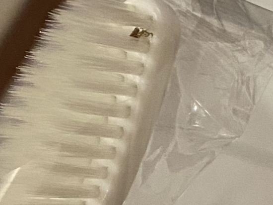 上海林隱假日飯店優惠