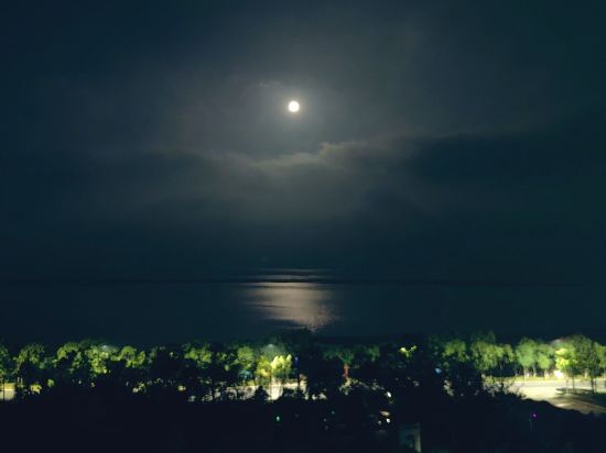 岳陽鉑爾曼酒店優惠