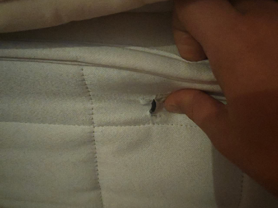 皮卡迪利大街澤德威爾酒店優惠