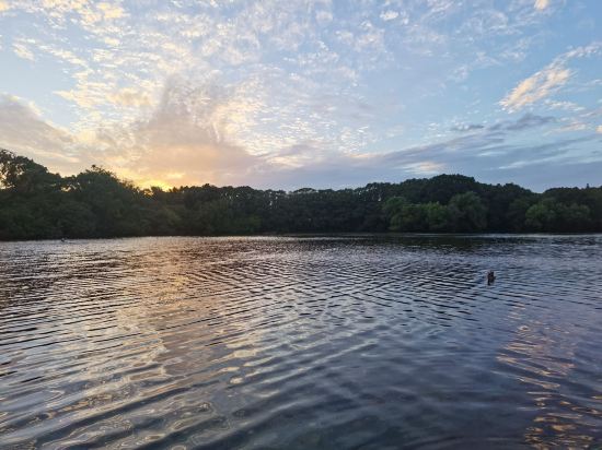 上海西郊賓館優惠