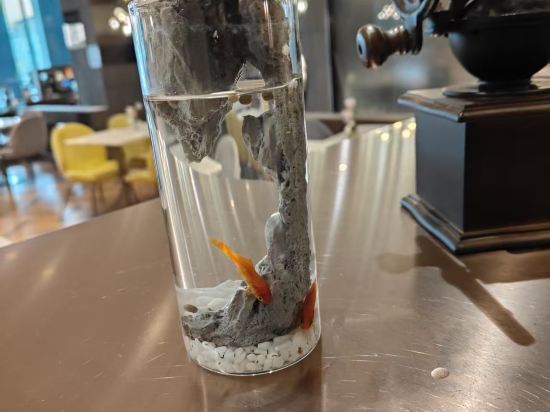 上海虹橋漕河涇美居飯店優惠