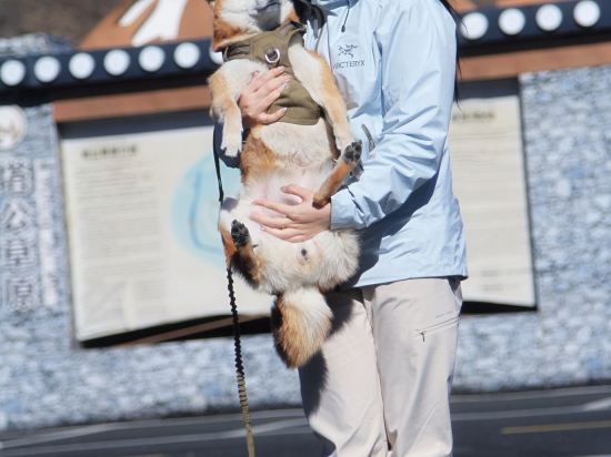 都江堰希爾頓歡朋酒店優惠