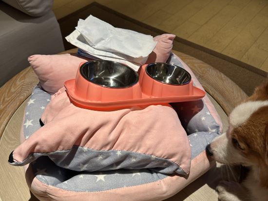 深圳蛇口希爾頓南海酒店優惠