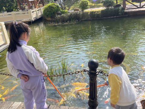 廣州碧水灣温泉度假村優惠