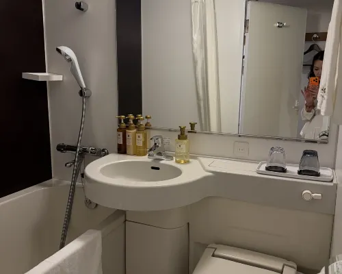 Shinjuku Washington Hotel Rooms Photos